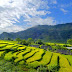 The best time to Capture Sapa, Photographers’ Paradise