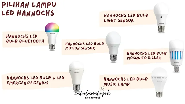 led hannochs