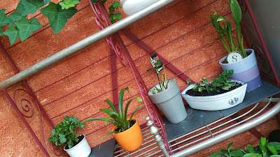 etagere-metal-plantes-vertes