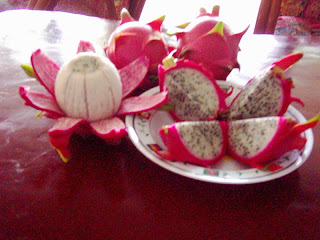 manfaat buah naga