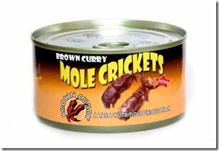 canned-food-41