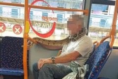 SHOCKING!! Man in commercial bus spotted wearing snake instead of face mask