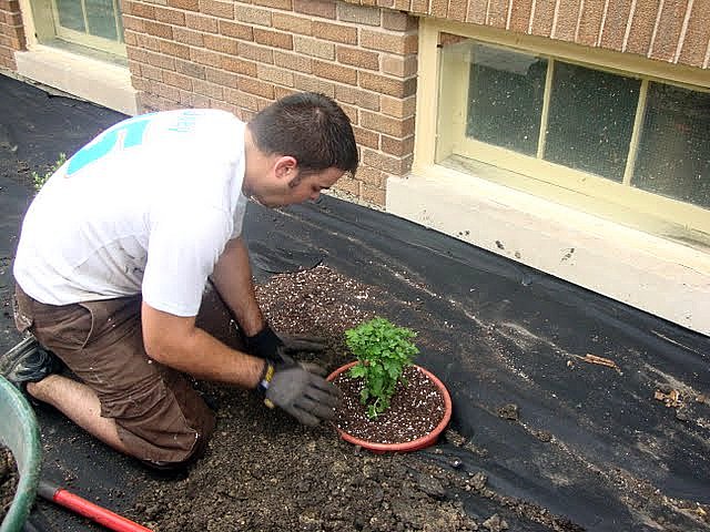 Landscaping To Prevent Water In Basement