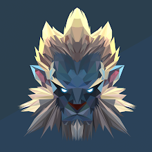image not displayed