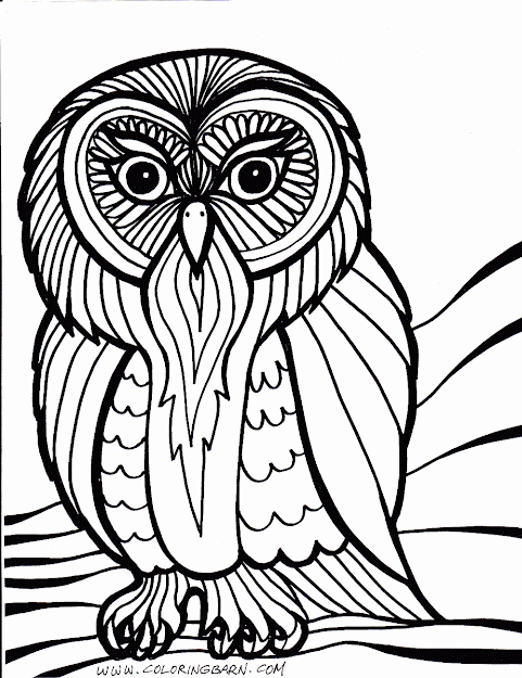 Owl Coloring Pages Free Printables   Printable Coloring Pages  The  Coloring Barn