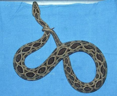 Dangerous Snake Seen On www.coolpicturegallery.us