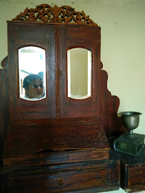 Mirror, lakshmi vilas heritage hotel
