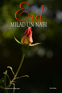 most beautiful eid milad un nabi images with roses