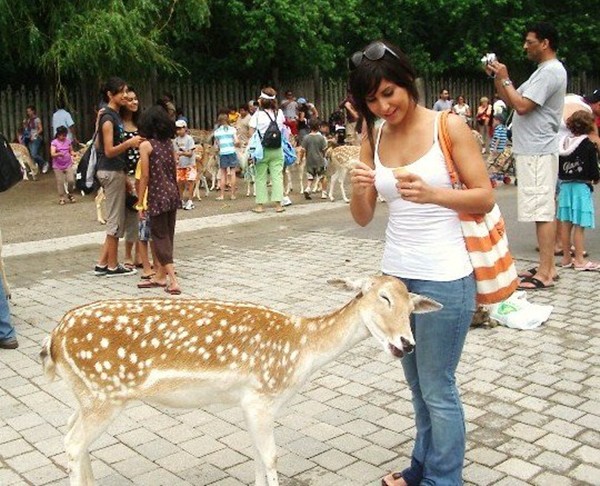 funny animals of the week, smiling deer