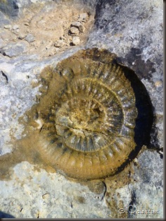 P1170274