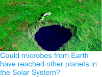 https://sciencythoughts.blogspot.com/2019/01/could-microbes-from-earth-have-reached.html