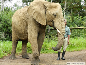 Elephant Sanctuary, The Crags em Plettenberg Bay