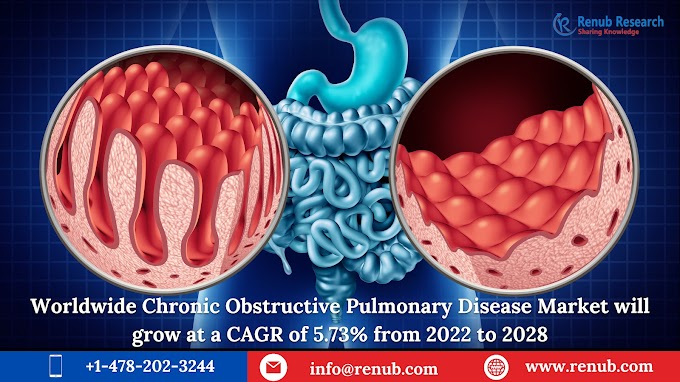 Worldwide Chronic Obstructive Pulmonary Disease Market will grow at a CAGR of 5.73% from 2022 to 2028