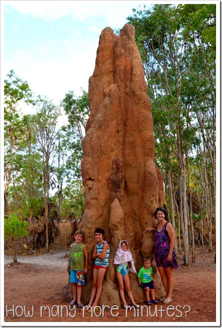 Magnetic Termite Mounds | How Many More Minutes?