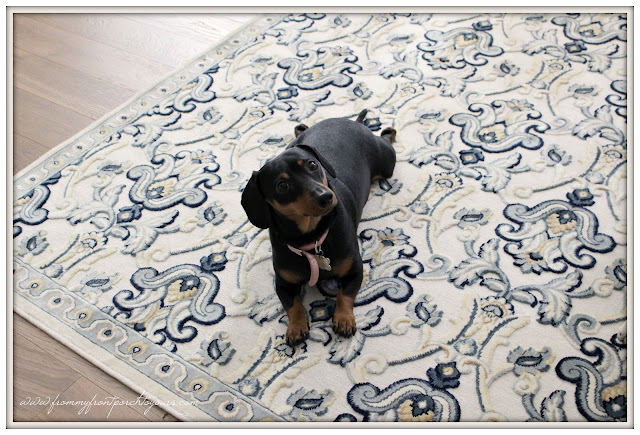 Farmhouse Foyer-Rug-Miniture Doxie- From My Front Porch To Yours