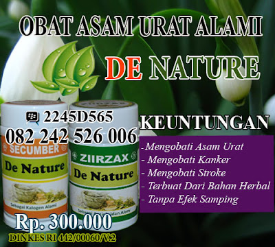 obat asam urat & flu tulang