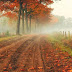 Country road in Belgium