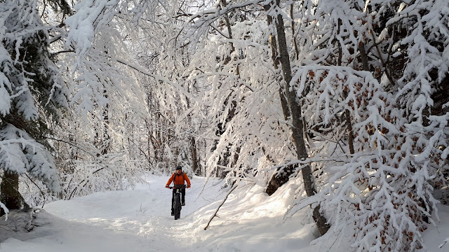 Vélo sur neige  et fatbike sur neige, pays du Mont-Blanc Plaine-Joux, lac vert et chamonix