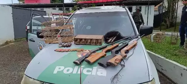 Polícia Ambiental resgata pássaros em cativeiro e apreende armas de fogo em Eldorado