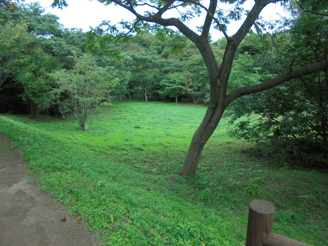 弥生の森遊歩道