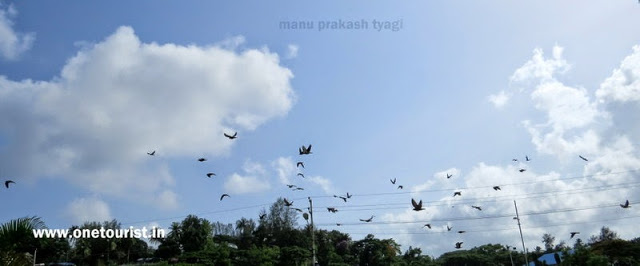 marina park port blair