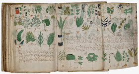 Ilustraciones Manuscrito Voynich