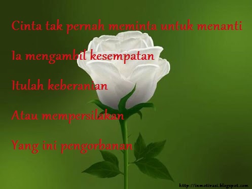 Kisah Cinta Romantis Ali dan Fatimah  Cerita Motivasi dan 