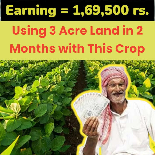 From Farm to Fortune: Turn 3 Acres into 1,69,500 Rupees in a Speedy 2 Months!