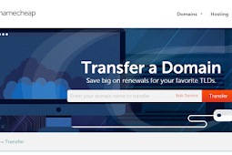 How To Transfer Domain Name to Namecheap from DomainKing.ng