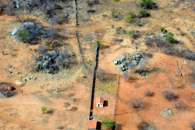 123 municípios de Pernambuco correm risco de desertificação