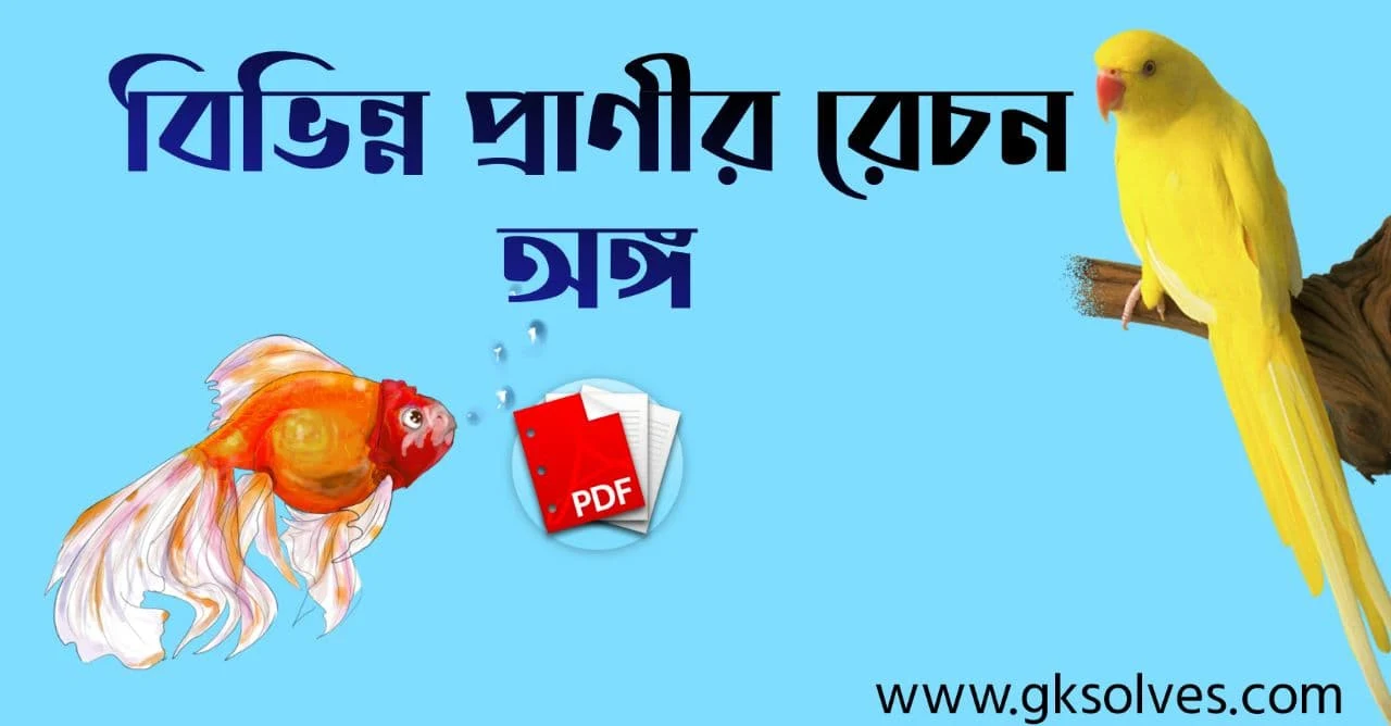 বিভিন্ন প্রাণীর রেচন অঙ্গ PDF: Download Excretory Organs Of Various Animals PDF