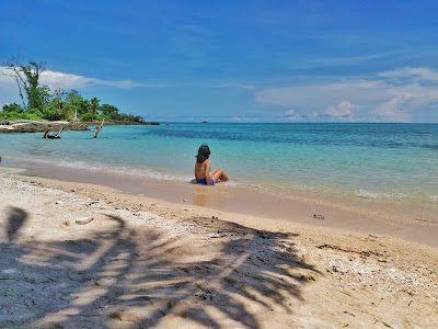 panikian island white sand pitogo zamboanga del sur turtle island pawikan