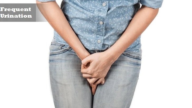 Frequent Urination: Is it Normal? Find Out!