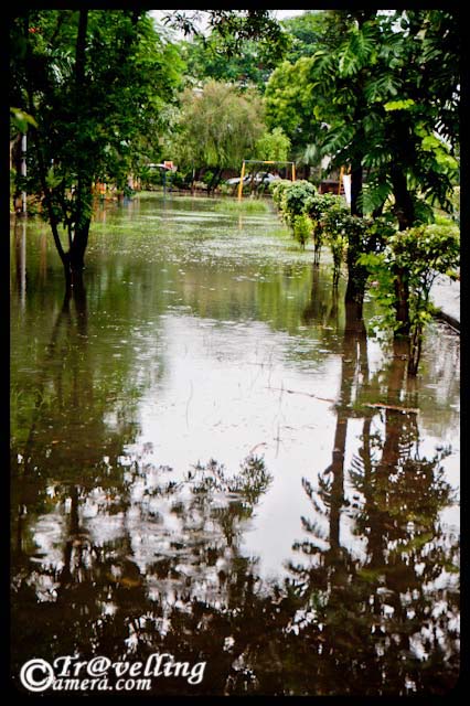 Noida parks flooded with water after rains 2010 - Sector-26 : Monsoon Effect in Noida : Posted by VJ SHARMA at www.travellingcamera.com : This weekend I had to go for a Photo-Walk at Old Fort in Delhi but due to heavy rains I canceled that program and woke up at 11:30 am on Sunday... After that I came out and noticed that many areas in my sector were flooded with water and the park near my house was completely filled with rain water in it.. Here are few photographs of the Sector-26 park after rains on Sunday...Here was the first few I saw in the morning... and then want back to my room to have Camera for capturing these moments :-)One part of Sector-26 park in Noida... where everything is flooded in water and one can walk on the concrete pathways on all four sides...I have seen worst condition of Noida after rains this year... I have been staying here for last 5 years and never seen this kind of after-effects of rains... Noida which is short for the New Okhla Industrial Development Authority, is an area under the management of the New Okhla  Industrial Development Authority... Noida has first-class amenities and is considered to be one of the more modern cities of Uttar Pradesh State of India. It is also home to the Noida Film City...Arre bhai kahan jaoon.. har jagah Paani hi Paani...Fresh green leaves after rains...When it rains, look up rather than down. Without the rain, there would be no rainbow...Noida is a major hub for multinational firms outsourcing IT services... Many large Software and Business Process Outsourcing (BPO) companies have their offices in the city...Generally noida is green and well planned as compared to other cities in UP.... although many of outsiders don't find it a good city to live...Here is the bench where we used to spend lot of time after dinner... Many times plan for morning walks but finally stick to this bench....Rains, Rains go away... please...some reflections inside the water... Hope it gets dry in short time...Reflection of colorful benches in Sector-26 Park in Noida...Water, Water... Everywhere water... no place to sit and no place to play around...Can we store this water somewhere? Many times I see folks in Sector-26 who waste lot of water for washing their multiple cars in summers when some of the areas in Noida doesn't get enough water for their routine activities... but now rains have already washed their cars :-)Its sad that children were not able to enjoy/play outside due to these heavy rains... Check out more about Noida @ http://en.wikipedia.org/wiki/Noida