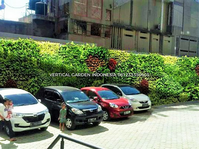 VERTICAL GARDEN INDONESIA SPESIALIS JASA PEMBUATAN VERTICAL GARDEN DI PASURUAN DAN DI SELURUH WILAYAH PASURUAN DENGAN TENAGA YANG PROFESIONAL DAN DAPAT DI PERCAYA YANG SELALU MENGUTAMAKAN SEBUAH MUTU DAN KUALITAS PEMASANGAN VERTICAL GARDEN/TAMAN DINDING, JASA TUKANG TAMAN VERTICAL PASURUAN, JASA VERTICAL GARDEN PASURUAN