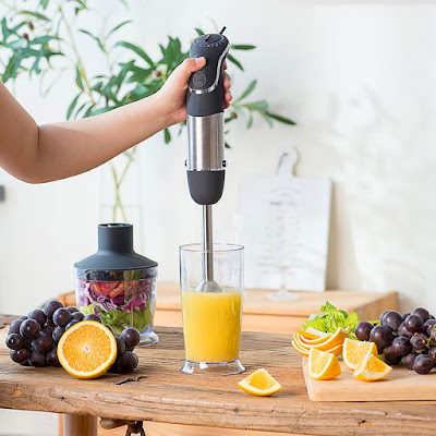 Hand Immersion Blender,600 W Powerful 4-in-1 Smart Stick