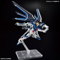 Bandai HG 1/144 RISING FREEDOM GUNDAM Color Guide & Paint Conversion Chart