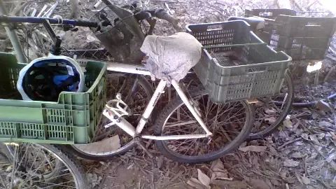 Our simple bicycles