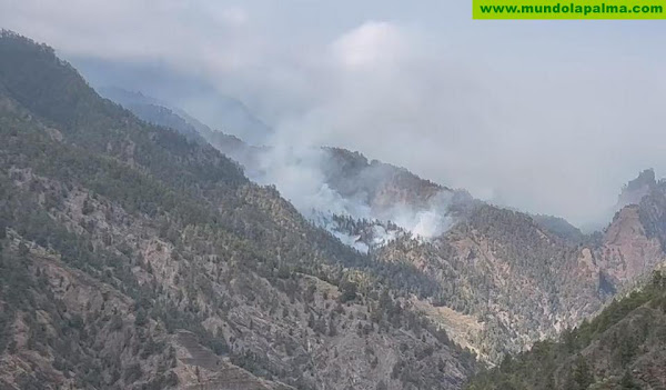 Incendio Forestal en La Palma: Acción Coordinada de Medios Aéreos para Controlar la Reactivación del incendio en la Caldera de Taburiente
