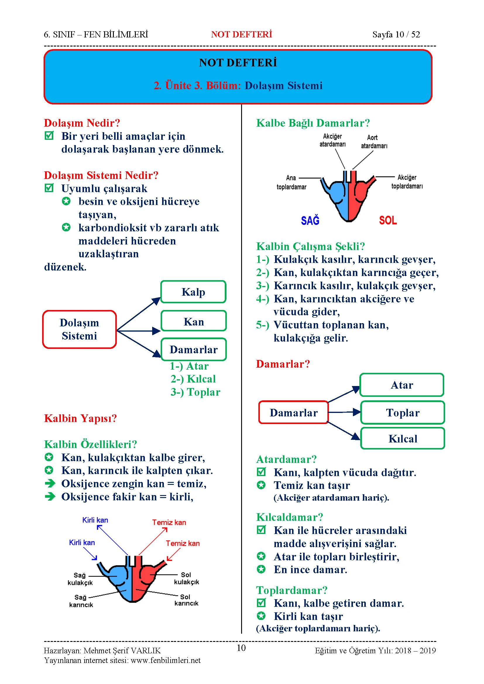 Fen Bilimleri 6.Sınıf Özet Ders Notu, Konu Anlatımı Pdf