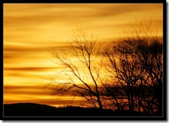 Gold_sky_by_renatoart