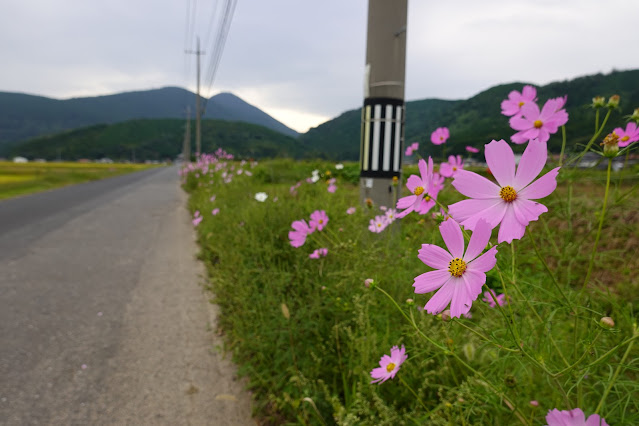 鳥取県米子市淀江町高井谷　天の真名井　入り口の道路端