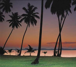 Tropical Island Of Fiji