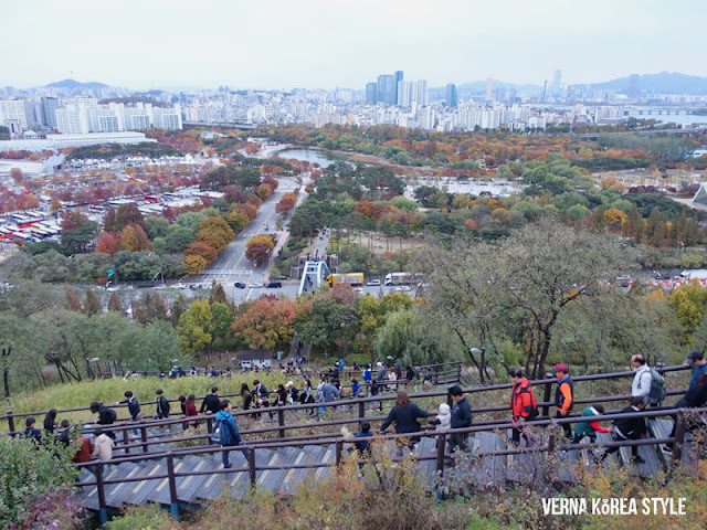 韓國, 景點, 首爾, 賞楓, 夜景, 天空公園,藍天公園,芒草