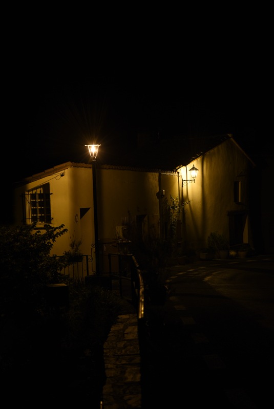 DSC_3708l