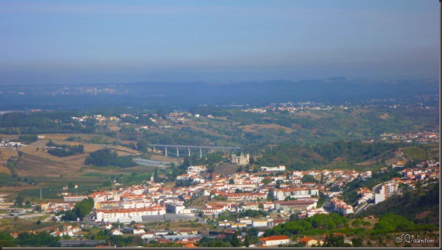 P1170261