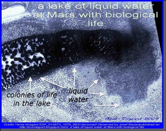 biolifeinlake_1_thumb1 biolifeinlake_1_thumb1