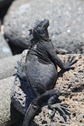 IMG_9619