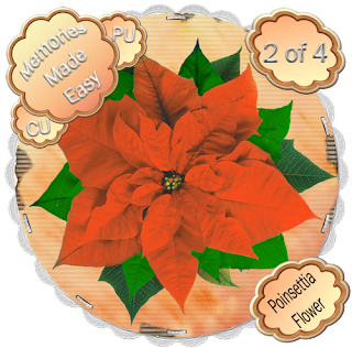 http://ladyshannonmemoriesmadeeasy.blogspot.com/2009/12/poinsettia-flowers-in-4-colors.html