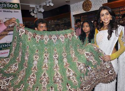 Actress Genelia In White Saree Photos Gallery